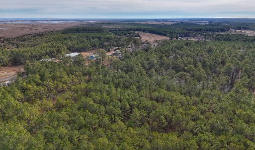 Photo #9 of SOLD property in Off Horne Rd, Lowland, NC 3.1 acres
