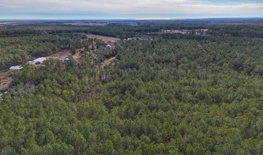 Photo #10 of SOLD property in Off Horne Rd, Lowland, NC 3.1 acres