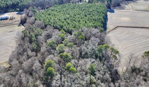 Photo #10 of 7723 East Langley Road, Elm City, NC 24.1 acres