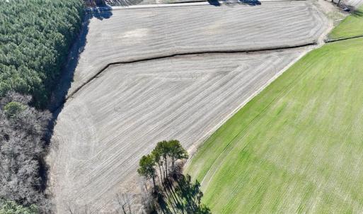 Photo #11 of 7723 East Langley Road, Elm City, NC 24.1 acres