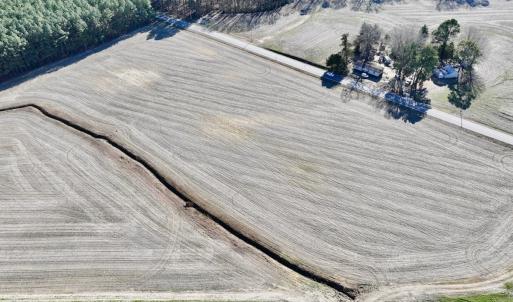 Photo #12 of 7723 East Langley Road, Elm City, NC 24.1 acres