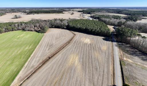 Photo #14 of 7723 East Langley Road, Elm City, NC 24.1 acres