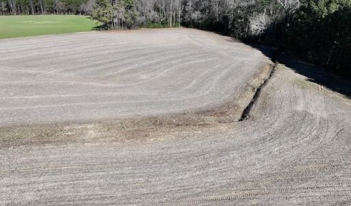Photo #15 of 7723 East Langley Road, Elm City, NC 24.1 acres
