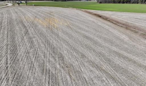 Photo #16 of 7723 East Langley Road, Elm City, NC 24.1 acres