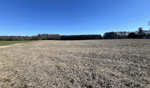 Photo #18 of 7723 East Langley Road, Elm City, NC 24.1 acres