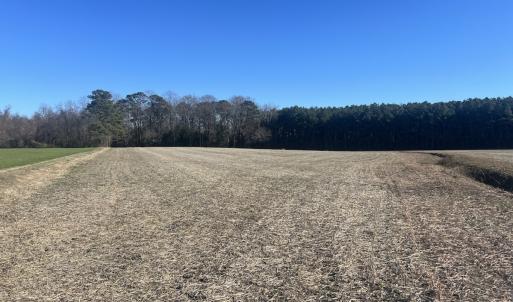 Photo #19 of 7723 East Langley Road, Elm City, NC 24.1 acres