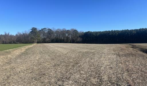 Photo #20 of 7723 East Langley Road, Elm City, NC 24.1 acres