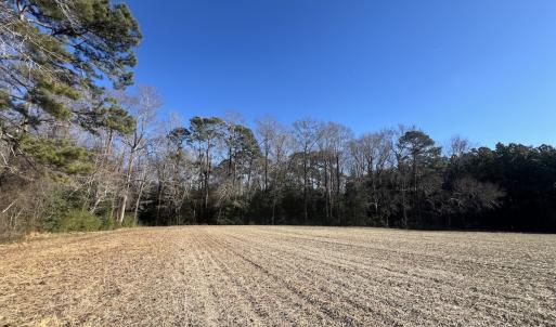 Photo #21 of 7723 East Langley Road, Elm City, NC 24.1 acres