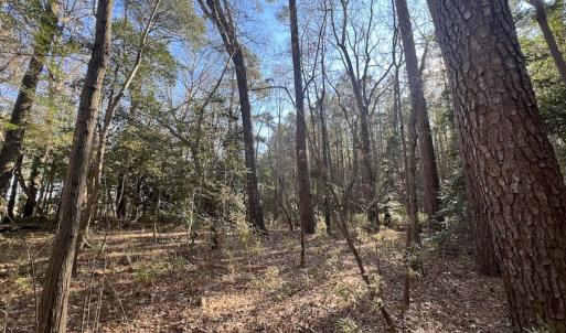Photo #24 of 7723 East Langley Road, Elm City, NC 24.1 acres