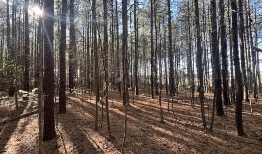 Photo #31 of 7723 East Langley Road, Elm City, NC 24.1 acres
