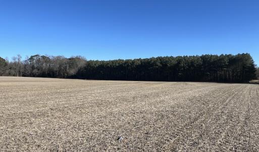 Photo #33 of 7723 East Langley Road, Elm City, NC 24.1 acres