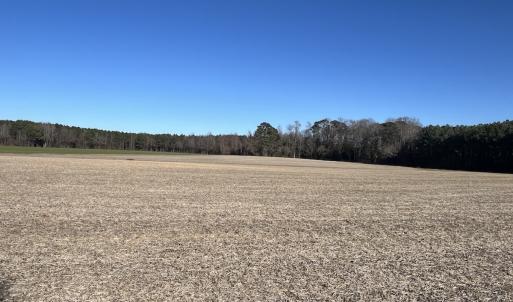 Photo #34 of 7723 East Langley Road, Elm City, NC 24.1 acres