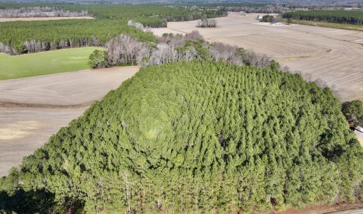 Photo #5 of 7723 East Langley Road, Elm City, NC 24.1 acres