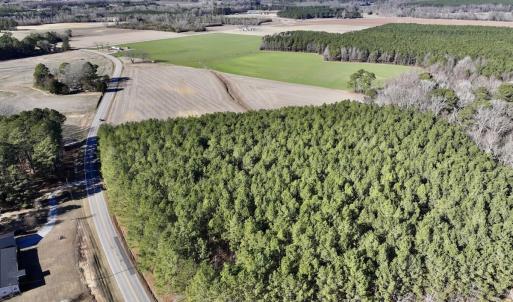 Photo #6 of 7723 East Langley Road, Elm City, NC 24.1 acres