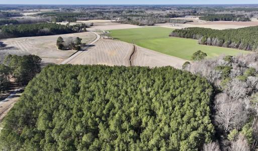 Photo #7 of 7723 East Langley Road, Elm City, NC 24.1 acres