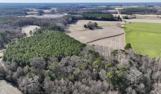 Photo #9 of 7723 East Langley Road, Elm City, NC 24.1 acres