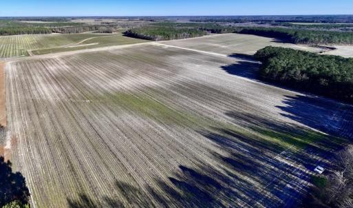 Photo #16 of SOLD property in Off Town Creek Road, Elm City, NC 7.8 acres