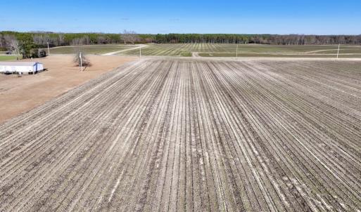 Photo #17 of SOLD property in Off Town Creek Road, Elm City, NC 7.8 acres
