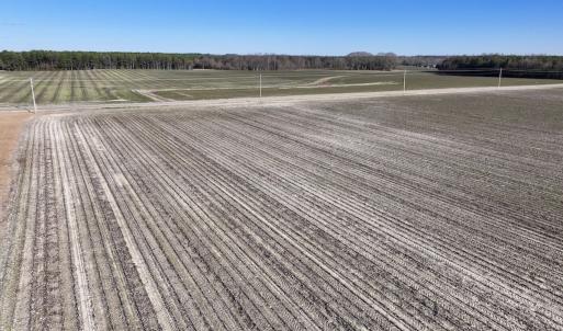 Photo #18 of SOLD property in Off Town Creek Road, Elm City, NC 7.8 acres