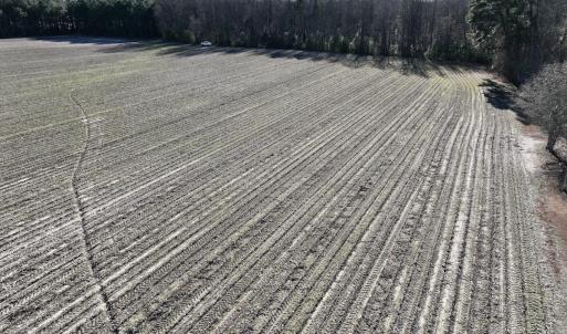 Photo #19 of SOLD property in Off Town Creek Road, Elm City, NC 7.8 acres