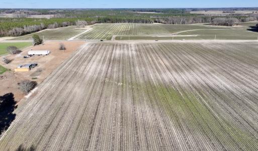 Photo #2 of SOLD property in Off Town Creek Road, Elm City, NC 7.8 acres