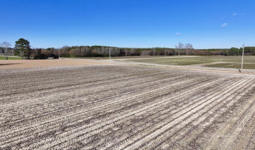 Photo #20 of SOLD property in Off Town Creek Road, Elm City, NC 7.8 acres
