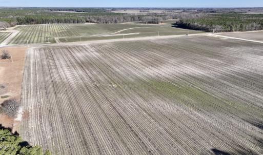 Photo #3 of SOLD property in Off Town Creek Road, Elm City, NC 7.8 acres