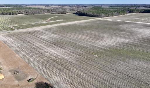 Photo #4 of SOLD property in Off Town Creek Road, Elm City, NC 7.8 acres