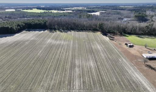 Photo #9 of SOLD property in Off Town Creek Road, Elm City, NC 7.8 acres