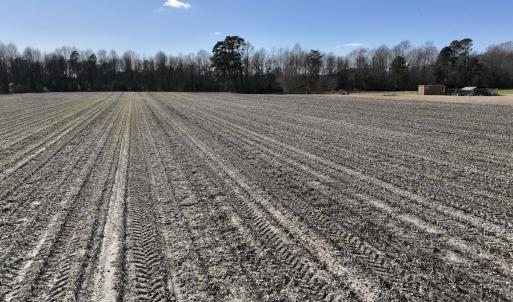 Photo #22 of SOLD property in Off Town Creek Road, Elm City, NC 7.8 acres