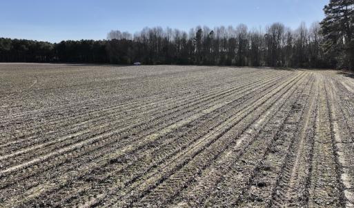 Photo #23 of SOLD property in Off Town Creek Road, Elm City, NC 7.8 acres