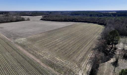Photo #1 of Off Town Creek Road, Elm City, NC 6.8 acres