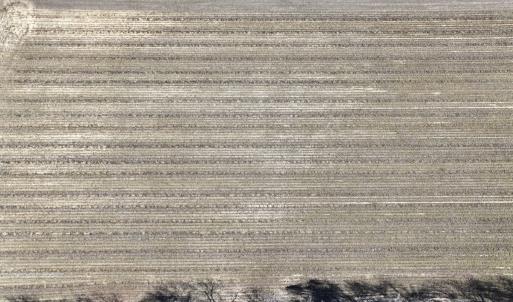 Photo #10 of Off Town Creek Road, Elm City, NC 6.8 acres