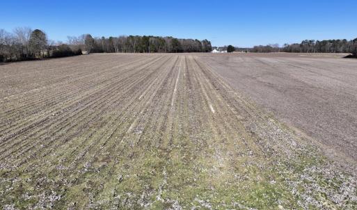Photo #12 of Off Town Creek Road, Elm City, NC 6.8 acres