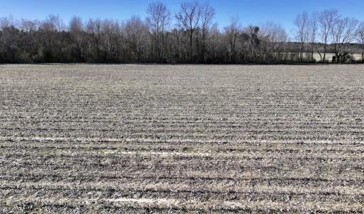 Photo #14 of Off Town Creek Road, Elm City, NC 6.8 acres