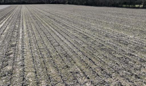 Photo #15 of Off Town Creek Road, Elm City, NC 6.8 acres