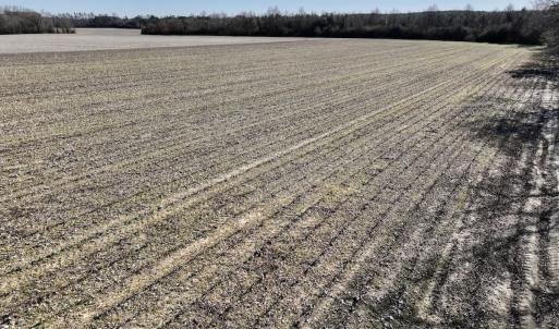Photo #16 of Off Town Creek Road, Elm City, NC 6.8 acres