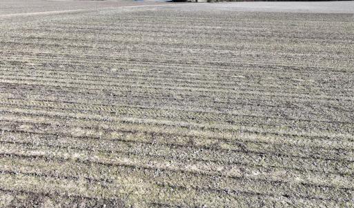 Photo #17 of Off Town Creek Road, Elm City, NC 6.8 acres