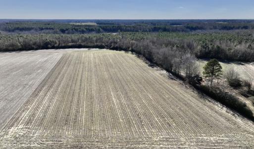 Photo #2 of Off Town Creek Road, Elm City, NC 6.8 acres