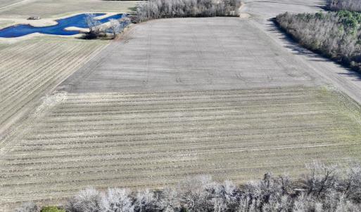 Photo #9 of Off Town Creek Road, Elm City, NC 6.8 acres