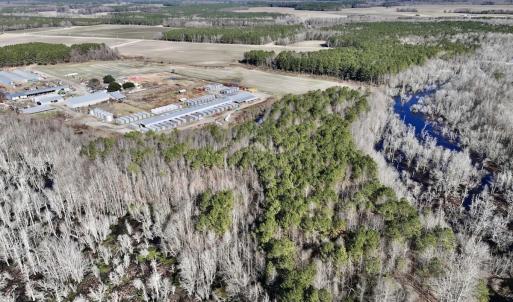 Photo #11 of SOLD property in Off Town Creek Road, Elm City, NC 108.2 acres