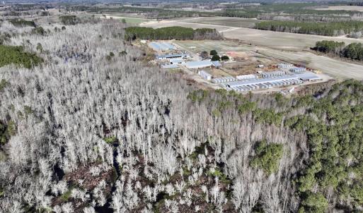 Photo #12 of SOLD property in Off Town Creek Road, Elm City, NC 108.2 acres