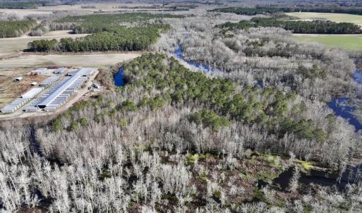 Photo #13 of SOLD property in Off Town Creek Road, Elm City, NC 108.2 acres