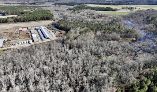 Photo #14 of SOLD property in Off Town Creek Road, Elm City, NC 108.2 acres