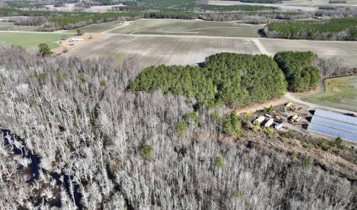 Photo #17 of SOLD property in Off Town Creek Road, Elm City, NC 108.2 acres