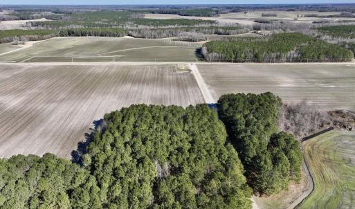 Photo #19 of SOLD property in Off Town Creek Road, Elm City, NC 108.2 acres