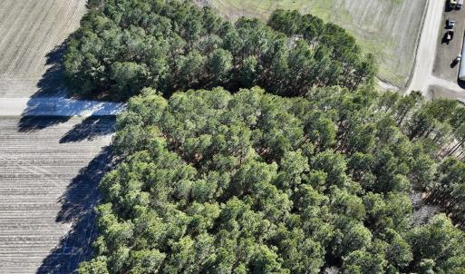 Photo #20 of SOLD property in Off Town Creek Road, Elm City, NC 108.2 acres