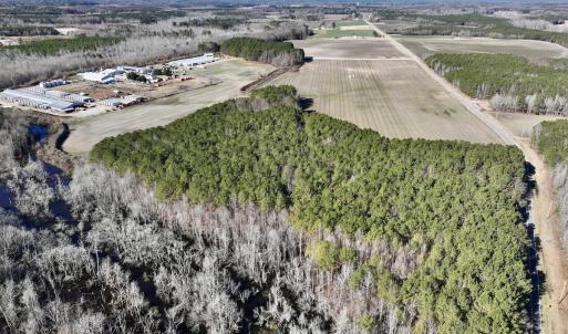 Photo #7 of SOLD property in Off Town Creek Road, Elm City, NC 108.2 acres