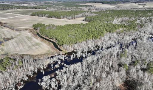 Photo #9 of SOLD property in Off Town Creek Road, Elm City, NC 108.2 acres