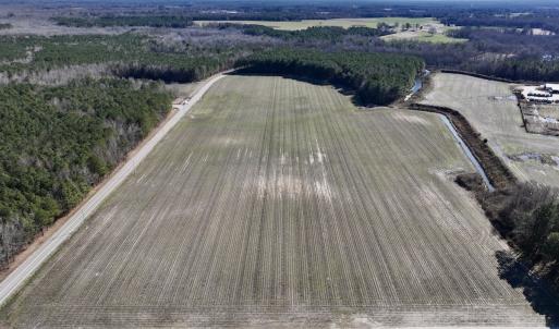 Photo #21 of SOLD property in Off Town Creek Road, Elm City, NC 108.2 acres